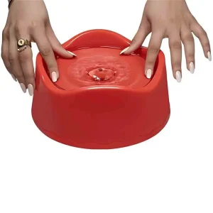 ظرف آب و غذا طرح ویو ساده